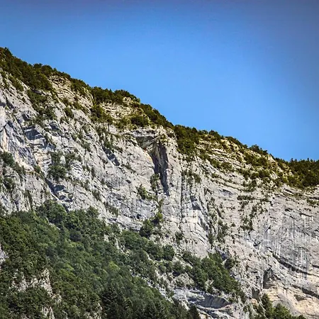 La Bulle Verte T2 Proche Avec Parking - 3